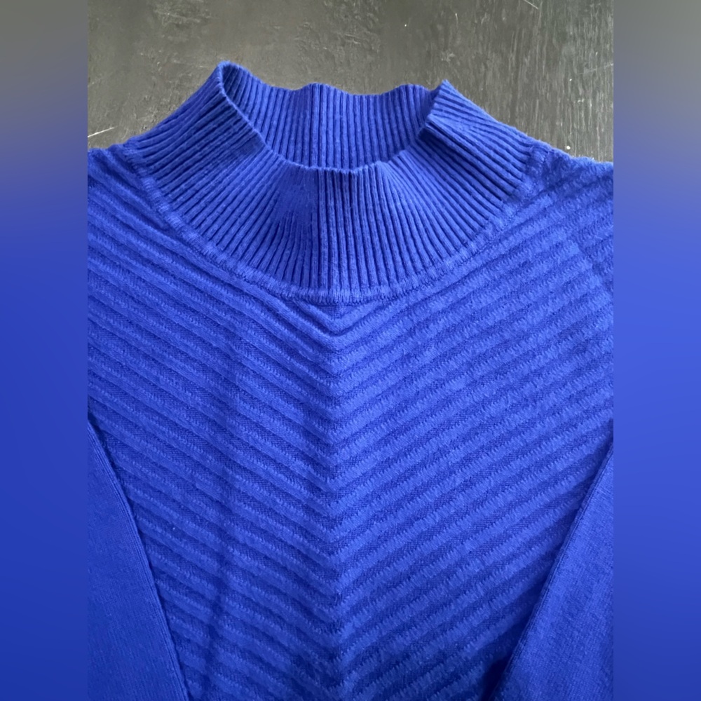 Tanjay Blue Women’s‎ Large Long Sleeve Sweater